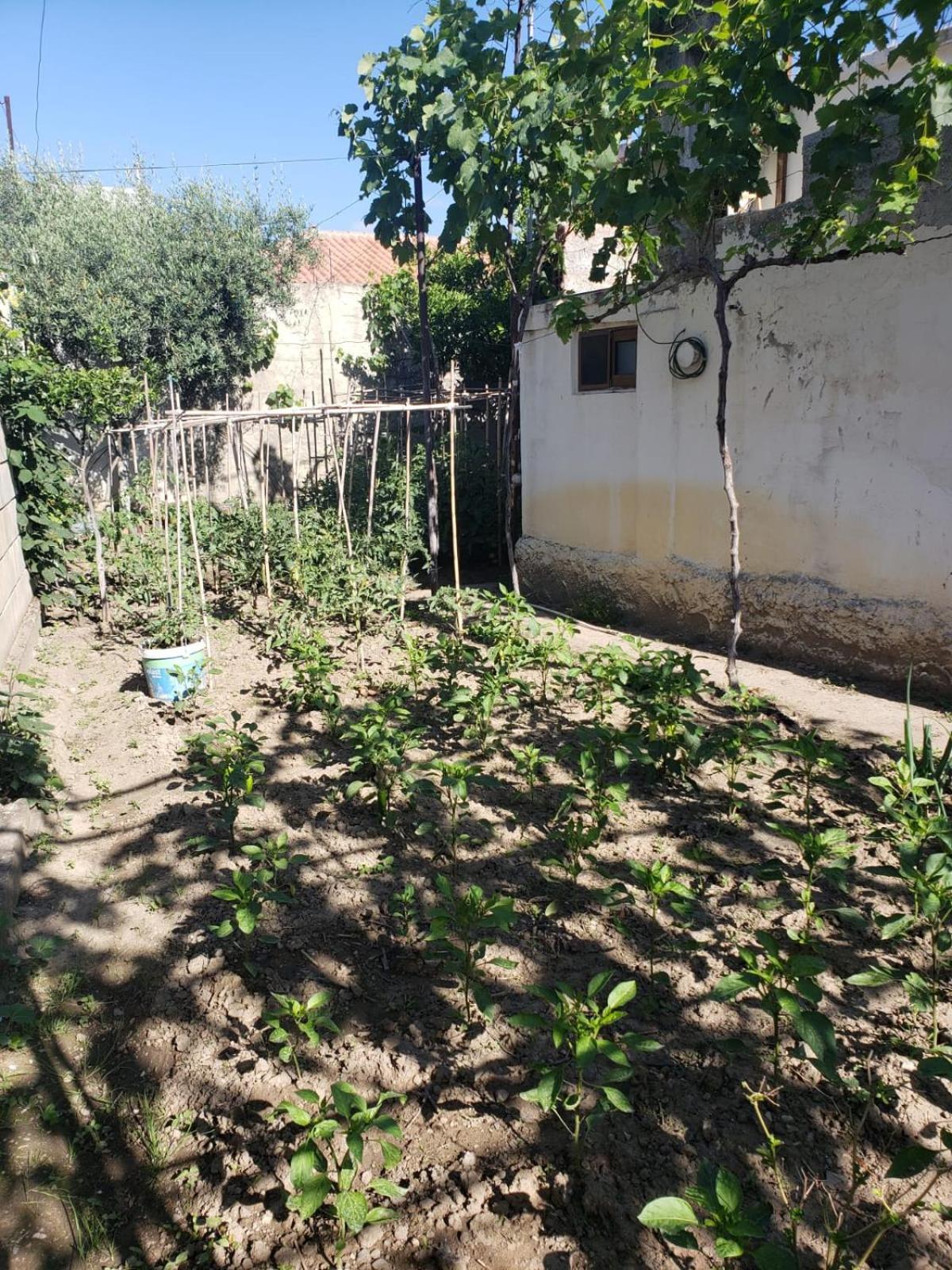 Private Room On A Shared Apartament Near Durres Beach Экстерьер фото